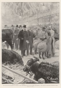 Il Re e il Principe di Galles alla Mostra del Bestiame del Club di Smithfield, 9 dicembre, Sua Maestà ispeziona le Pecore Campioni